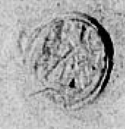 Eget segl benyttet 2. august 1622 (Vedlegg x til Fogderegnskap Moss 1622-23)